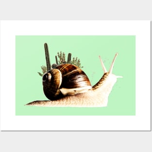 cactus on a snail Posters and Art